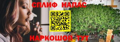 ешки Гусев