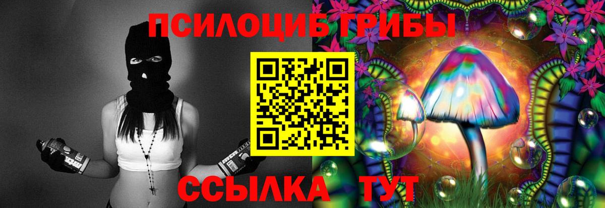 продажа наркотиков  Вход с VPN  Можайск  Псилоцибиновые грибы прущие грибы 