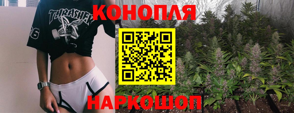 Бошки марихуана ГИДРОПОН  Каннабис сатива  Каннабис конопля  Можайск  Бошки марихуана план  Вход с VPN 